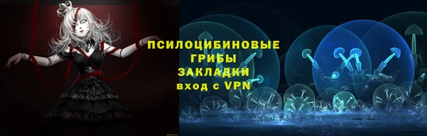 шишки Абдулино