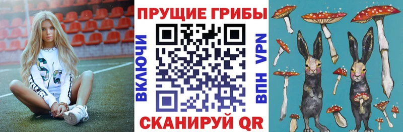 где найти наркотики  Пошехонье  Галлюциногенные грибы Magic Shrooms 